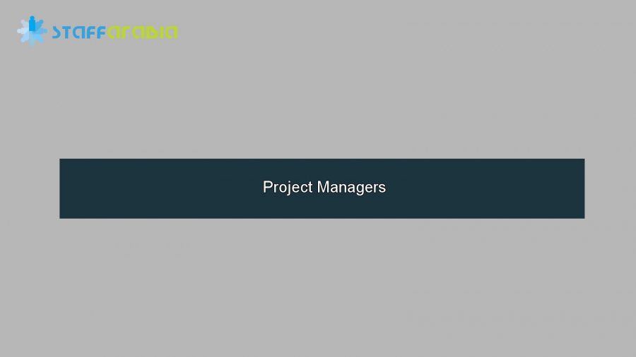 Project Managers
