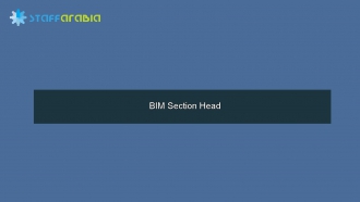 BIM Section Head