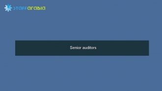 Senior auditors